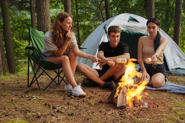 Shot Friends Tourists Camping Forest Toasting Marshmallows Daytime — Stock Photo, Image