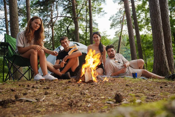 Lövés Barátok Turisták Kemping Erdőben Pirítóssal Mályvacukor Nappal — Stock Fotó