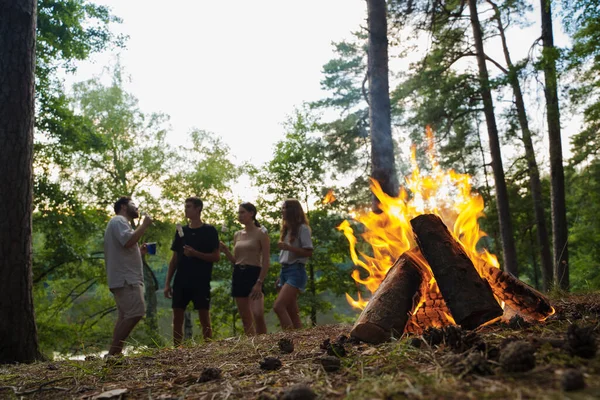 Négy Utazóból Álló Társaság Akik Pirított Mályvacukrot Esznek Erdőben Kempingeznek — Stock Fotó