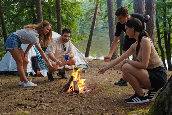 Foto Venner Som Hviler Skogstur Spiser Ristet Marshmallow – stockfoto