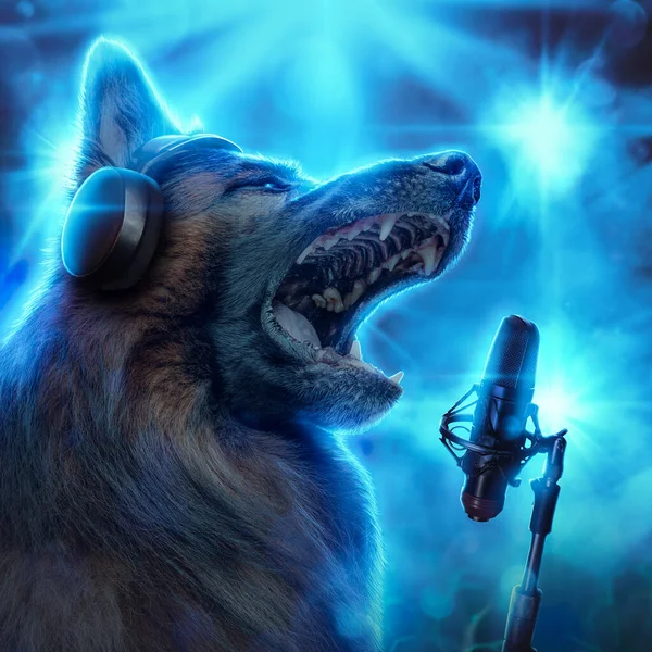 Portrait of artistic dog vocalist singing into microphone against background with blue illuminations.