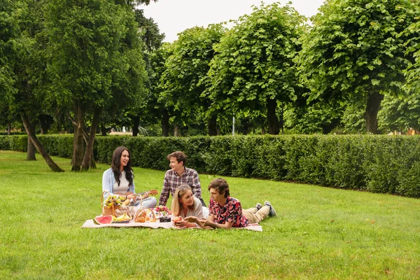 Bir Araya Gelen Arkadaşlar Piknikte Tatillerinin Tadını Çıkarıyorlar — Stok fotoğraf