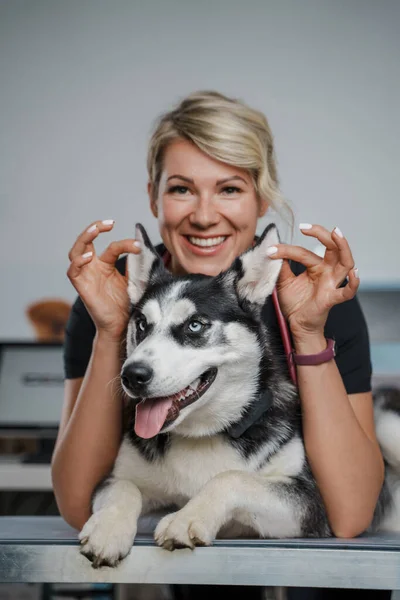 Safkan Sibirya Köpeğinin Kulaklarını Tutan Kadın Veteriner Portresi — Stok fotoğraf