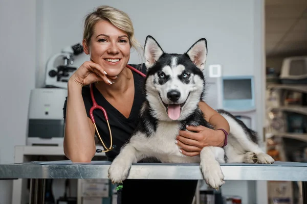 Retrato Mujer Veterinaria Profesional Vestida Con Uniforme Perro Husky Acostado —  Fotos de Stock