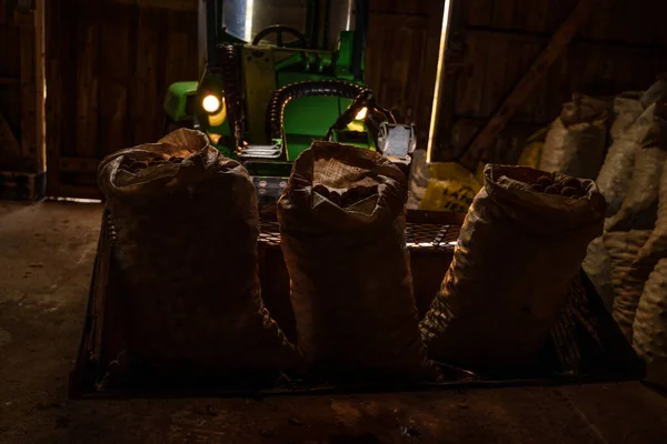 格納庫でジャガイモと現代の農業機械やバッグのショット — ストック写真