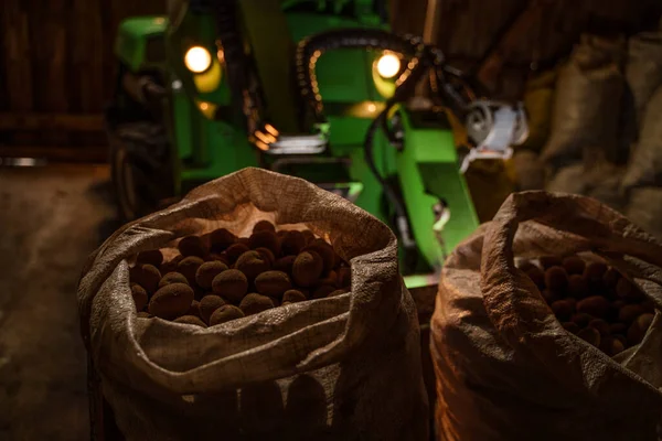 格納庫でジャガイモと現代の農業機械やバッグのショット — ストック写真