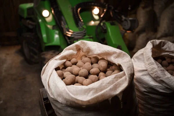 Colpo Trattore Verde Che Trasporta Sacchi Patate Hangar Fattoria — Foto Stock