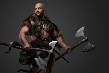 Zırh ve kürk giymiş yakışıklı Viking 'in iki balta tuttuğu bir stüdyo fotoğrafı..