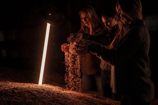 Skott Bönder Kvinnor Sprider Korn Nära Led Lampa Och Vete — Stockfoto