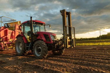 Sonbaharda tarlada çalışmak için tek bir modern hasat makinesi..