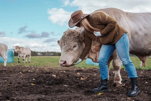 Prise Vue Éleveur Femelle Avec Des Vaches Dans Pré Ferme — Photo