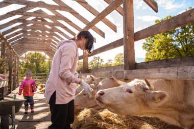 Çiftlikte çalışan genç çiftçilerin portresi deneyim ve inek sürüsü kazanıyor..