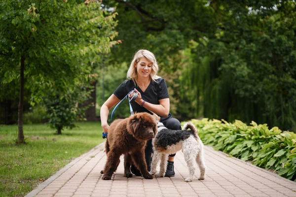 夏休みに公園で2匹の犬を持つ幸せな女性の肖像画 — ストック写真