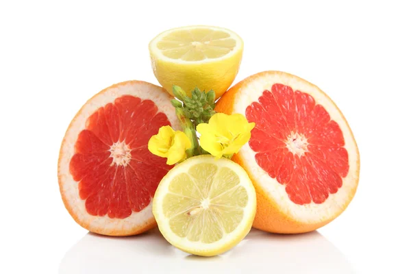 Свежие грейпфруты и лимон на белой баколе — стоковое фото