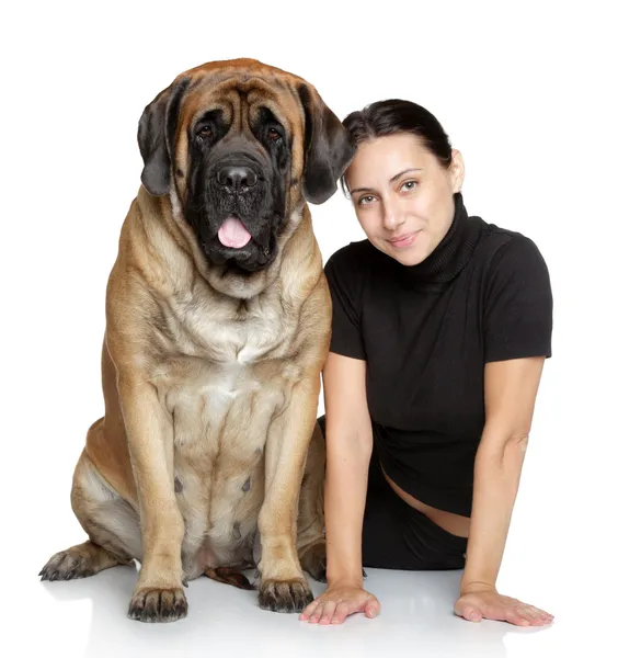 Bella ragazza e cane di grandi dimensioni — Foto Stock