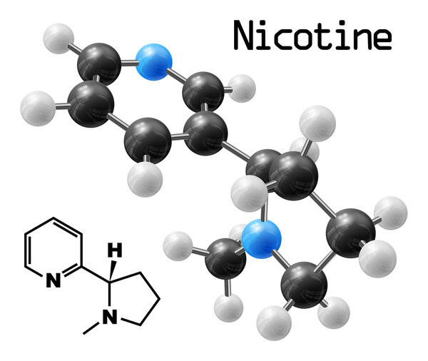 молекула никотина
