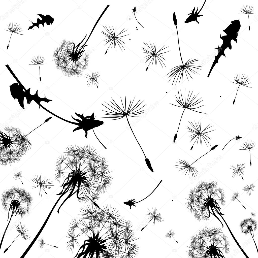 dandelions