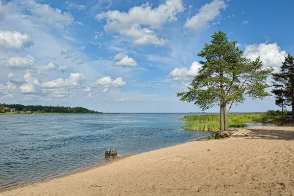 Landscape with river and sand beach. — Stock Photo, Image