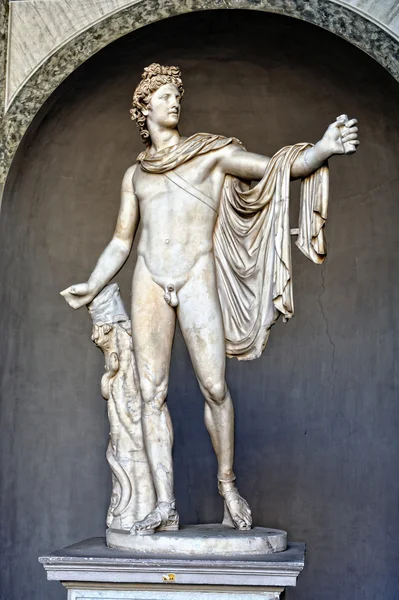 Vatikáni Múzeum szobrok. — Stock Fotó