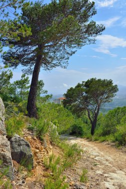 kırsal manzara İspanya dağ manzaralı. güneşli bir gün.