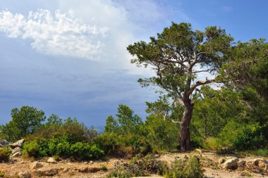 kırsal manzara İspanya dağ manzaralı. güneşli bir gün.