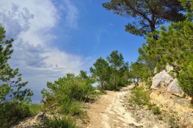 kırsal manzara İspanya dağ manzaralı. güneşli bir gün.