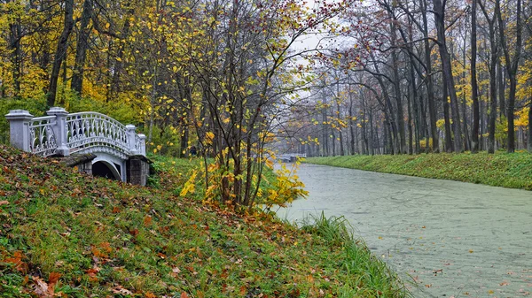 Jesień krajobraz z rzeką i most w parku Katarzyna, pushki — Zdjęcie stockowe