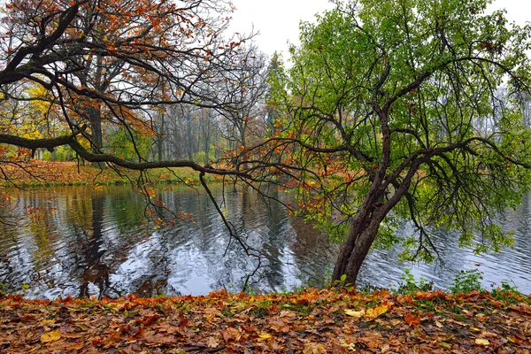 秋季视图与普希金在凯瑟琳花园湖. — 图库照片