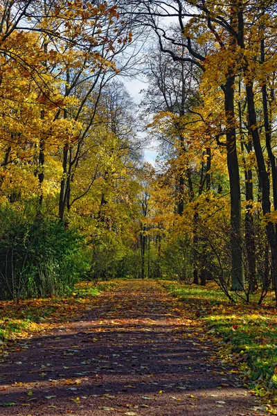 Paisagem de outono em Catherine jardim, Pushkin , — Fotografia de Stock