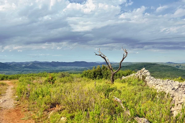 Rural landscape with mountain view near town Ares in Spain. — Stock Photo, Image