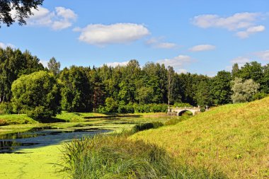 pavlovsk Bahçe peyzaj yaz. Visconti Köprüsü