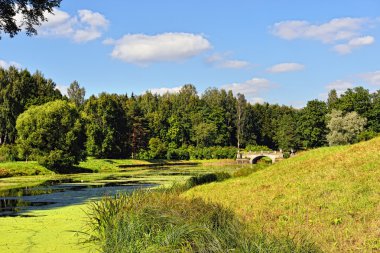 Summer landscape of the Pavlovsk garden. Visconti Bridge clipart