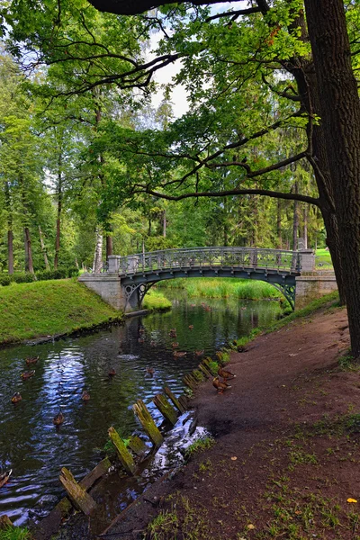 Paisaje de verano con lago y puente en el parque de Gatchina , — Foto de Stock