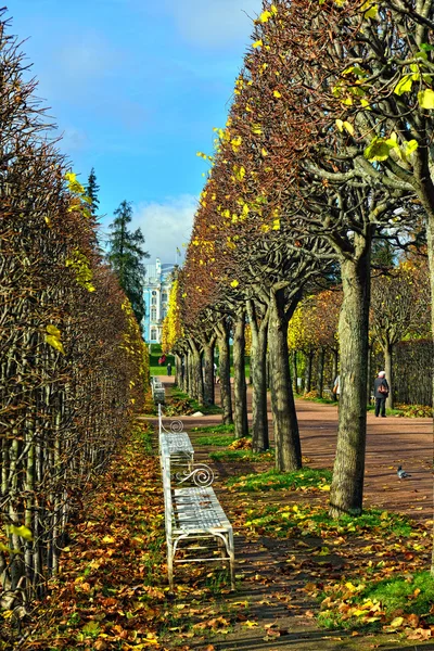 O beco com bancos em Catherine park em Pushkin, Rússia — Fotografia de Stock