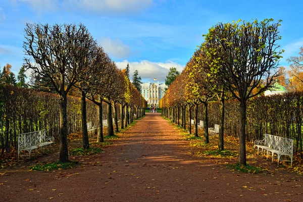 Aleea cu bănci în parcul Catherine din Pușkin, Rusia — Fotografie, imagine de stoc