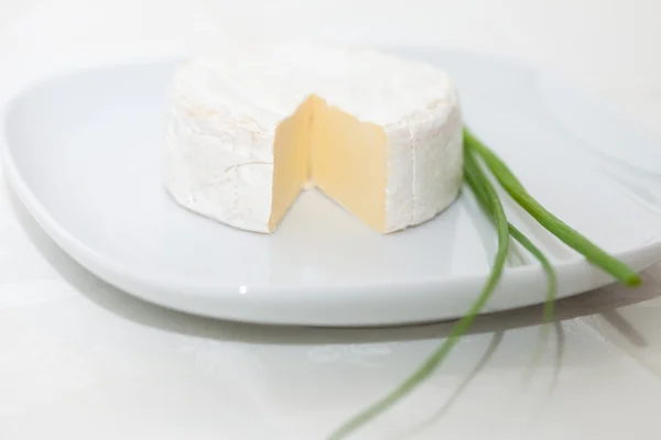 Cheese brie — Stock Photo, Image
