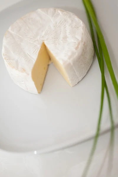 Brie al formaggio — Foto Stock