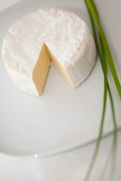 Cheese brie — Stock Photo, Image