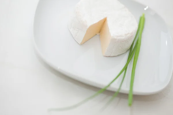 Brie al formaggio — Foto Stock