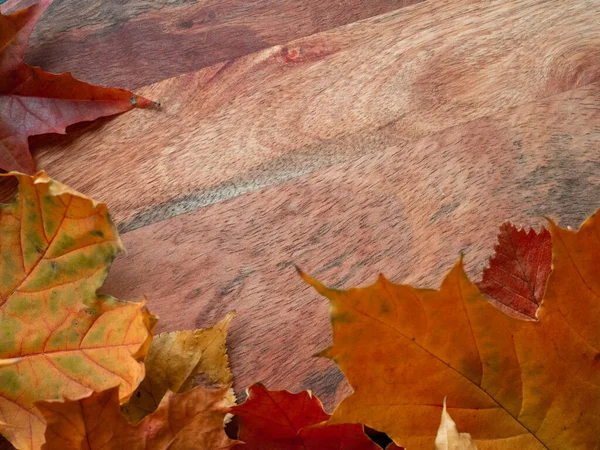 Gevallen herfstbladeren in de vorm van een frame, kopieer ruimte voor uw tekst. — Stockfoto