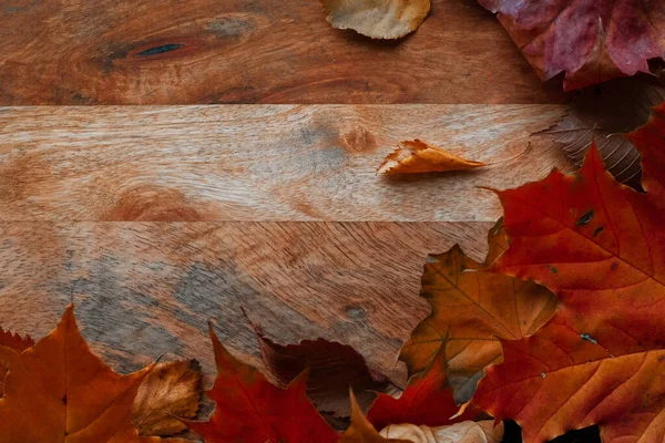 Fallen autumn leaves in the shape of a border, copy space for your text. — Stock Photo, Image