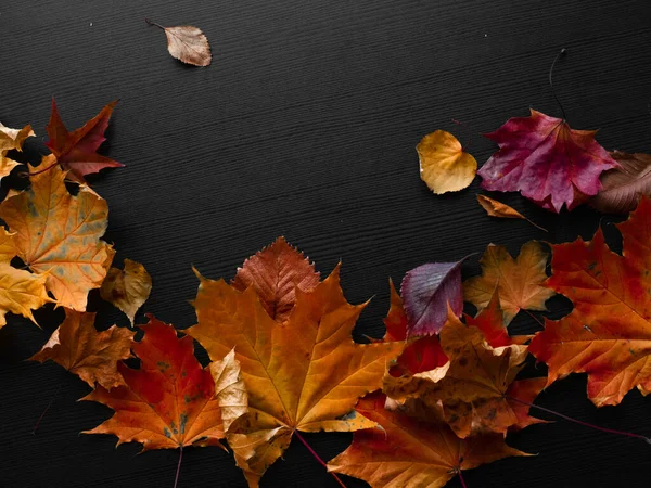 Gevallen herfstbladeren in de vorm van een rand, kopieer ruimte voor uw tekst. — Stockfoto