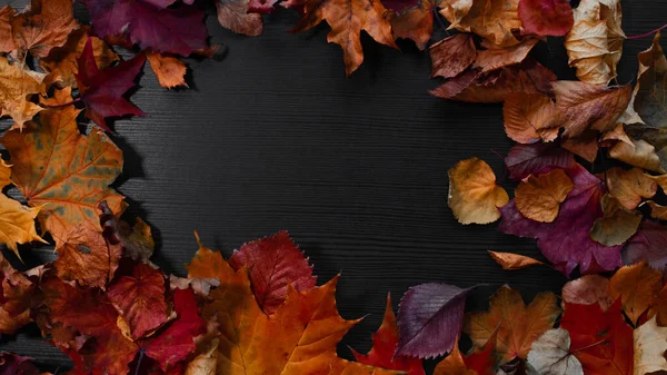 Fallen autumn leaves in the form of a frame, copy space for your text. — Stock Photo, Image