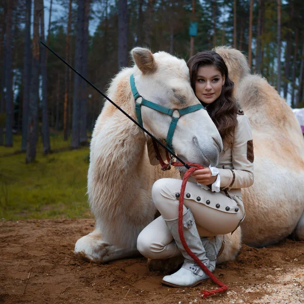 Joven hermosa morena en un traje de jinete está sentado junto a un gran camello blanco —  Fotos de Stock