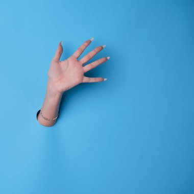 Selamlama, el sallama ya da beşlik çakma. Manikürlü güzel bir kadın eli