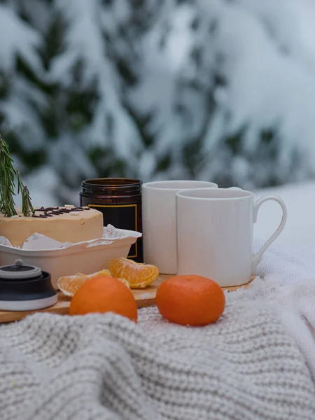 Ciao inverno, accogliente umore invernale. Un bellissimo picnic invernale con tè e torta — Foto Stock