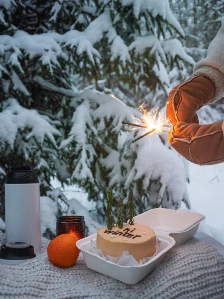 Ciao inverno, accogliente umore invernale. Un bellissimo picnic invernale con tè e torta — Foto Stock