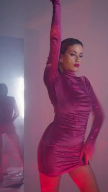 Duman efektleri ve lazer projektörü olan şık bir portre.,