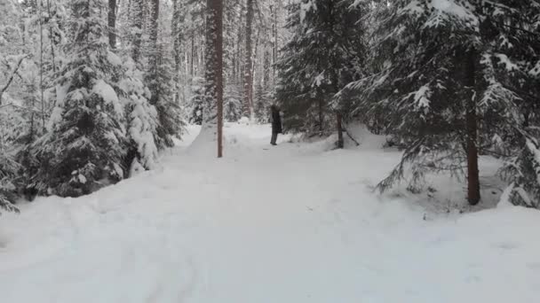Nadelwald im Winter, wunderschöne Winternatur, eine junge Frau geht spazieren — Stockvideo