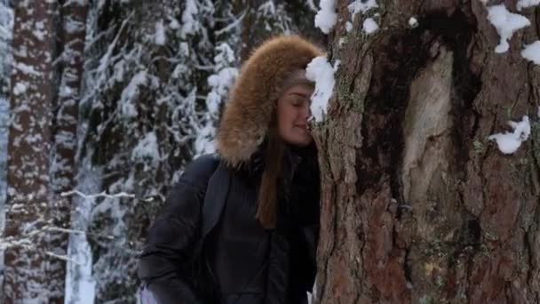 Winterwandeling door het bos, besneeuwd mooi dennenbos. — Stockvideo